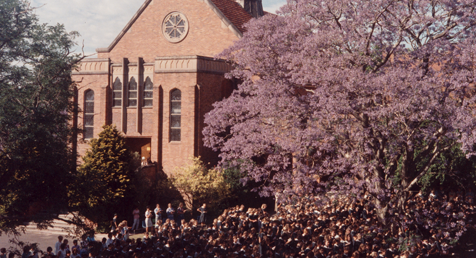 Jacaranda Service circa 1985