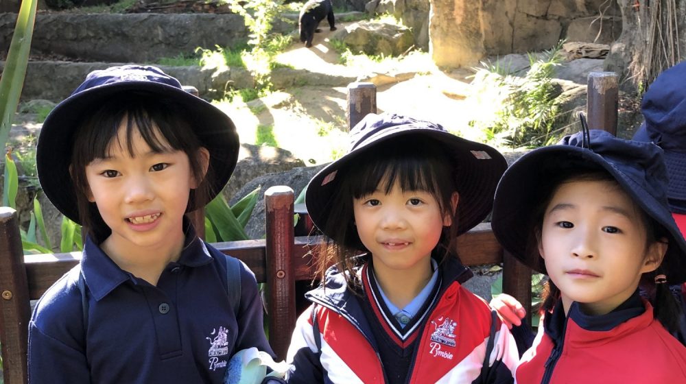 Year 2 visits Taronga Zoo