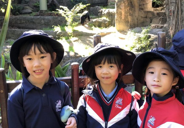 Year 2 visits Taronga Zoo