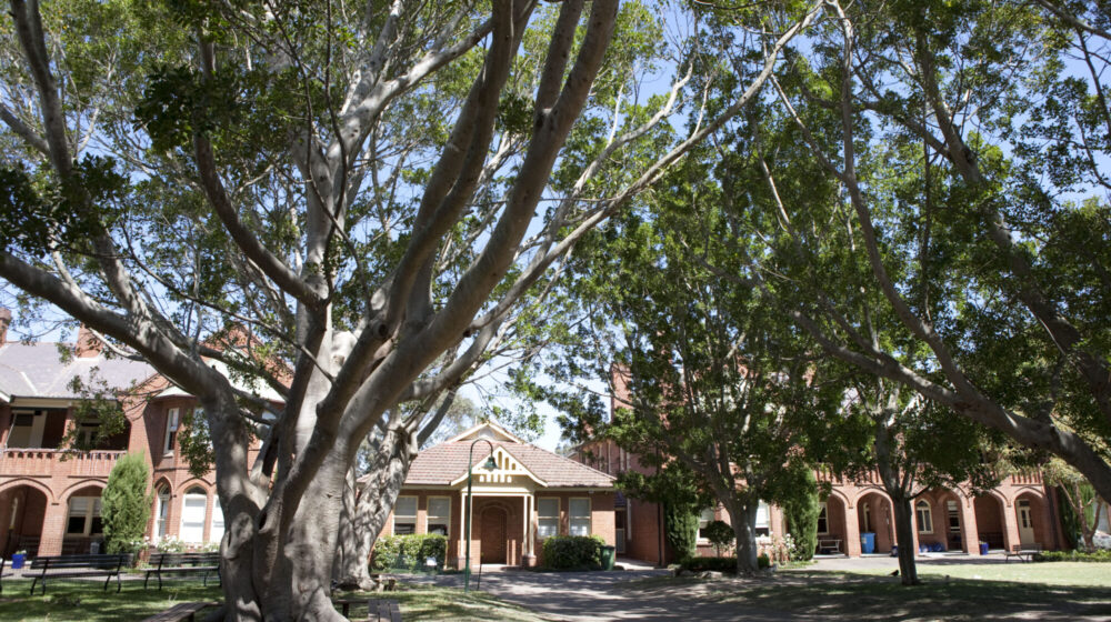 Ex-Student Tour and Morning Tea