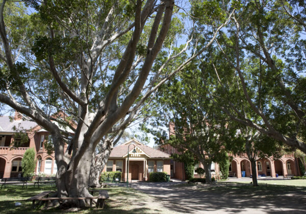 Ex-Student Tour and Morning Tea