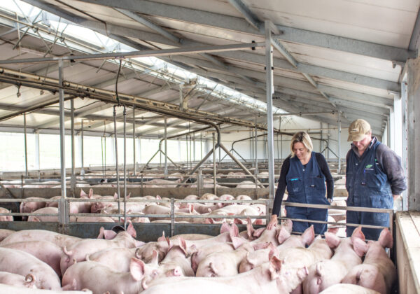 Where are they now? Edwina Beveridge (Walker, 1993)